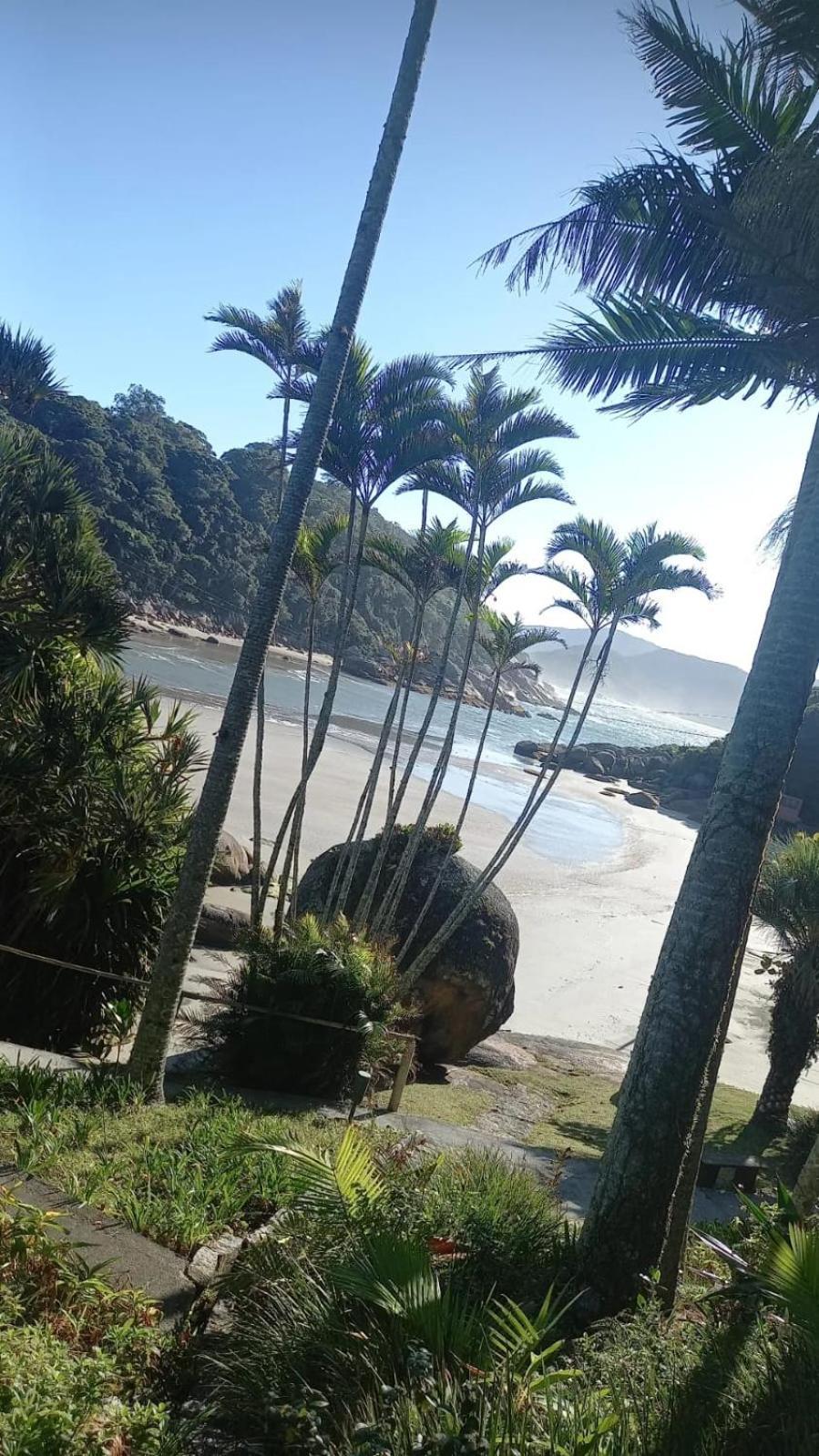 Hotel Ilha Do Papagaio - Pousada Exclusiva Palhoça Exterior foto